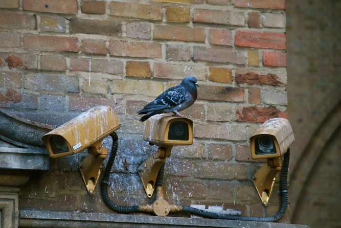 Addiction to CCTV Surveillance